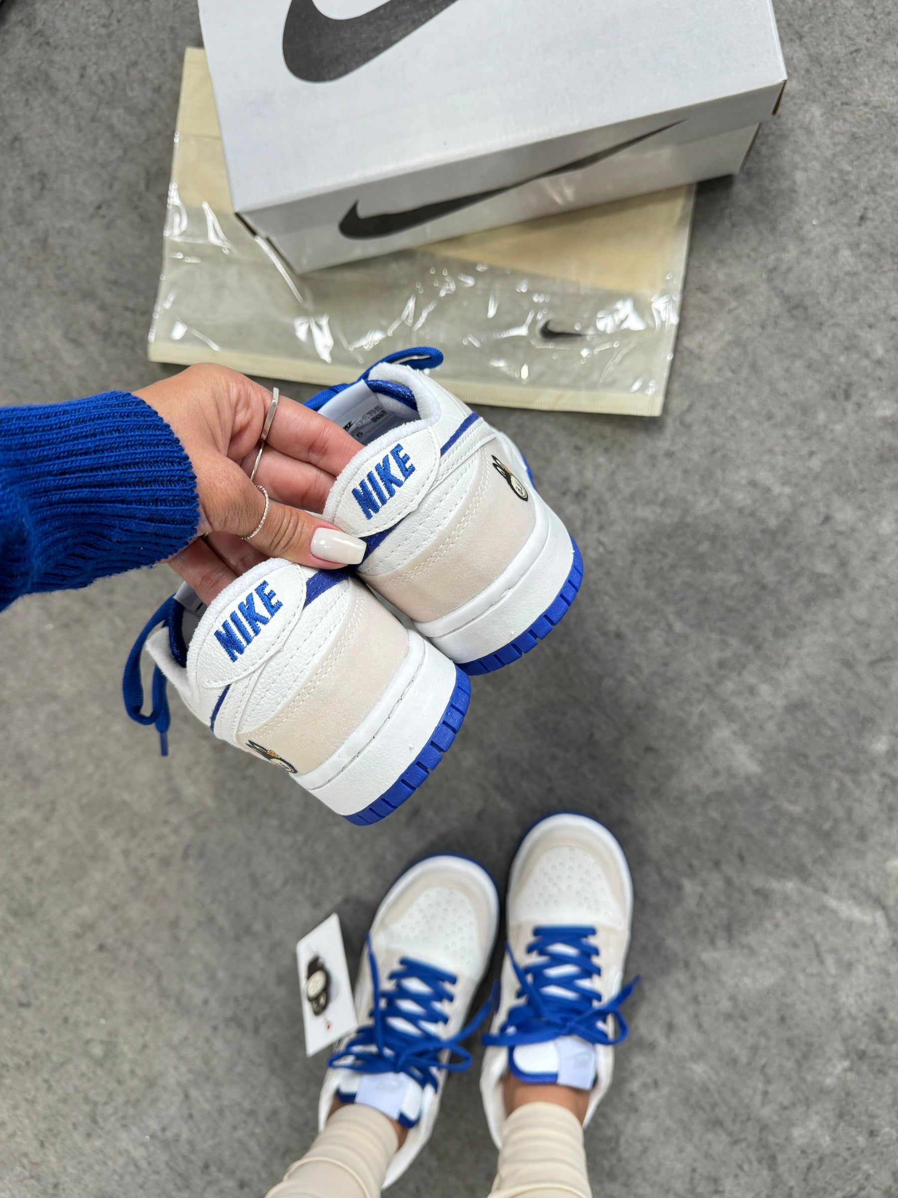 Dunk low pro Labubu