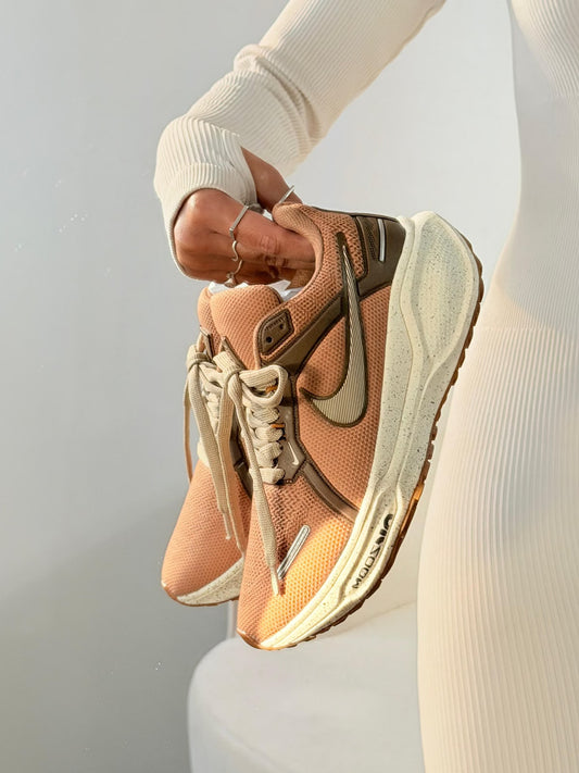 Pegasus 40